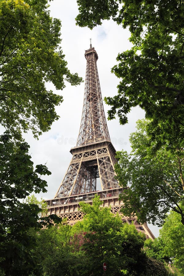 Взгляд Эйфелева башни через деревья зеленого цвета лета Франция paris