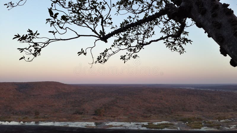 Взгляд bushveld в южно-африканском запасе игры в раннем вечере стоковое изображение rf Взгляд bushveld в южно-африканском запасе игры в раннем вечере стоковое изображение rf