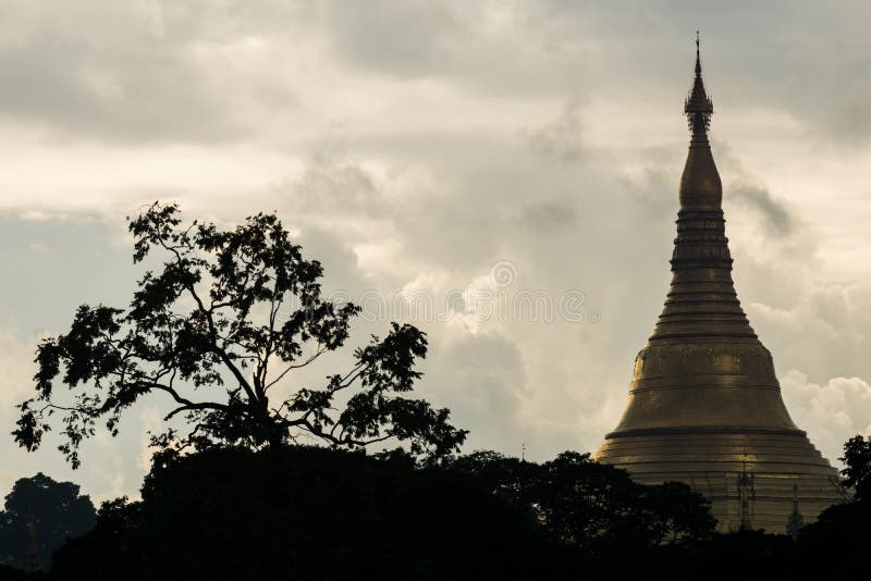 Взгляд верхней части siluhette пагоды Мьянмы shwedagon с облаками и деревом стоковая фотография rf Взгляд верхней части siluhette пагоды Мьянмы shwedagon с облаками и деревом стоковая фотография rf
