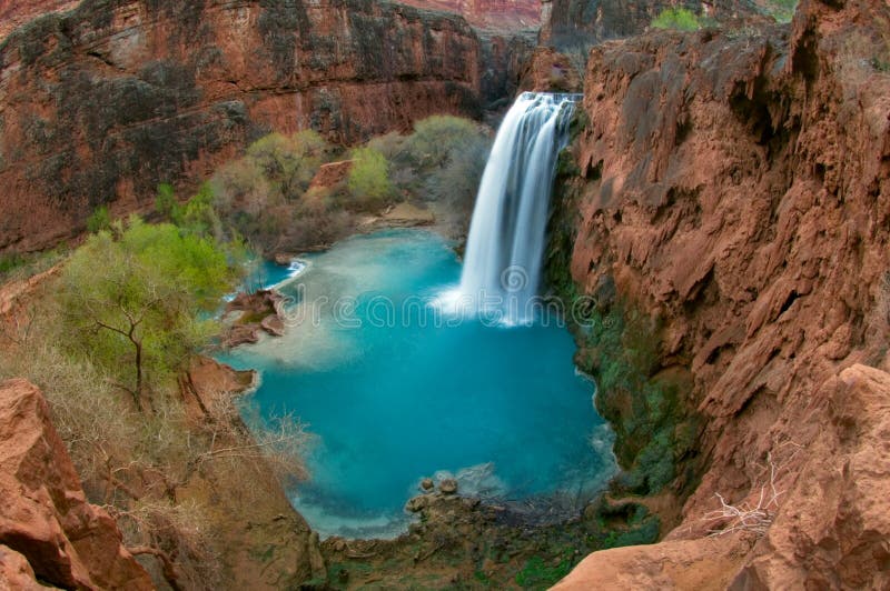 Havasu Falls, known to the Havasupai tribe as Havasuw Hagjahgeevma, is a waterfall of Havasu Creek, located in the Grand Canyon, Arizona, United States. It is within Havasupai tribal lands. Havasu Falls is located 1-1â„2 miles 2.4 km from Supai. It is the more famous and most visited of the various falls along Havasu Creek. It consists of one main chute that drops over a 90-to-100-foot 27 to 30 m vertical cliff into a series of plunge pools. High calcium carbonate concentration in the water creates the vivid blue-green color and forms the natural travertine dams that occur in various places near the falls. Havasu Falls, known to the Havasupai tribe as Havasuw Hagjahgeevma, is a waterfall of Havasu Creek, located in the Grand Canyon, Arizona, United States. It is within Havasupai tribal lands. Havasu Falls is located 1-1â„2 miles 2.4 km from Supai. It is the more famous and most visited of the various falls along Havasu Creek. It consists of one main chute that drops over a 90-to-100-foot 27 to 30 m vertical cliff into a series of plunge pools. High calcium carbonate concentration in the water creates the vivid blue-green color and forms the natural travertine dams that occur in various places near the falls.