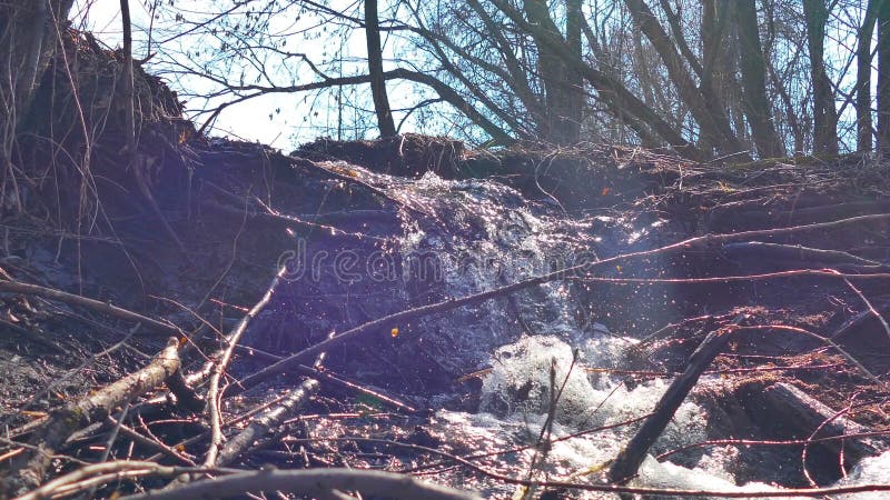 Видео ландшафта движения водопада деревьев реки леса потока сухое