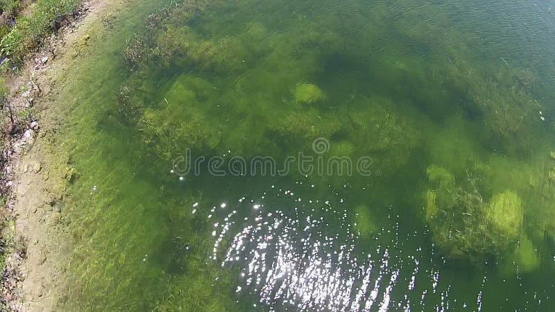 Вид с воздуха болотистых низменностей Флориды
