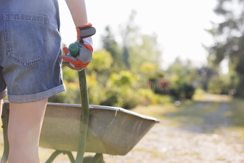 Midsection rear view of female gardener pushing wheelbarrow at plant nursery. Midsection rear view of female gardener pushing wheelbarrow at plant nursery