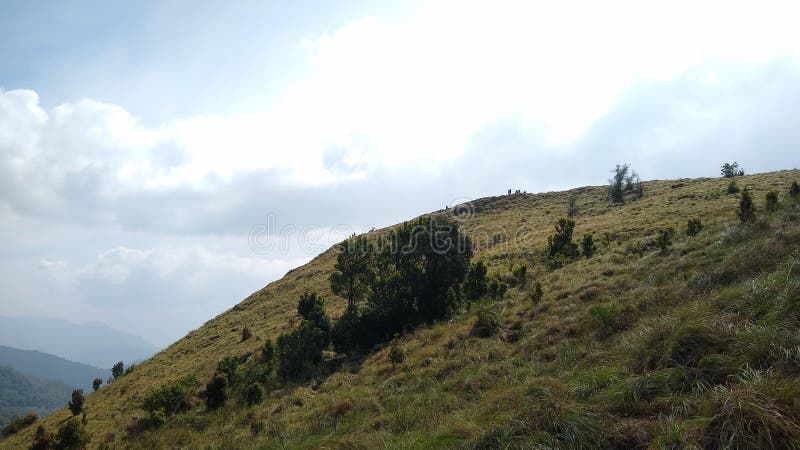 Вид ландшафта Кералы ponmudi thiruvananthapuram станции холма стоковая фотография