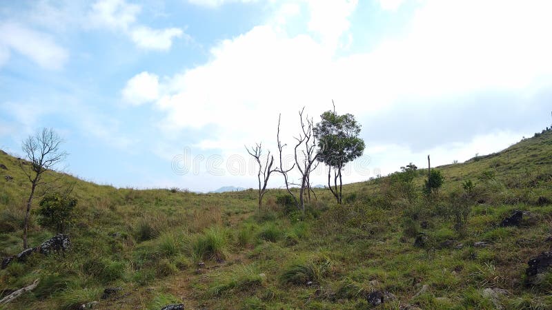 Вид ландшафта Кералы ponmudi thiruvananthapuram станции холма стоковое изображение rf