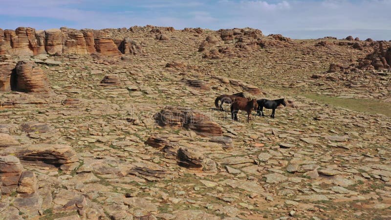 Вид с воздуха на лошадей и скалы в Монголии