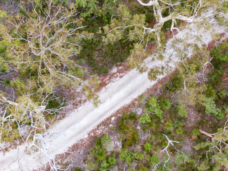 High angle aerial drone bird`s eye view of an inland four-wheel drive sand road on Fraser Island, Queensland, Australia, surrounded by trees. Fraser Island is a very popular tourist destination. High angle aerial drone bird`s eye view of an inland four-wheel drive sand road on Fraser Island, Queensland, Australia, surrounded by trees. Fraser Island is a very popular tourist destination.