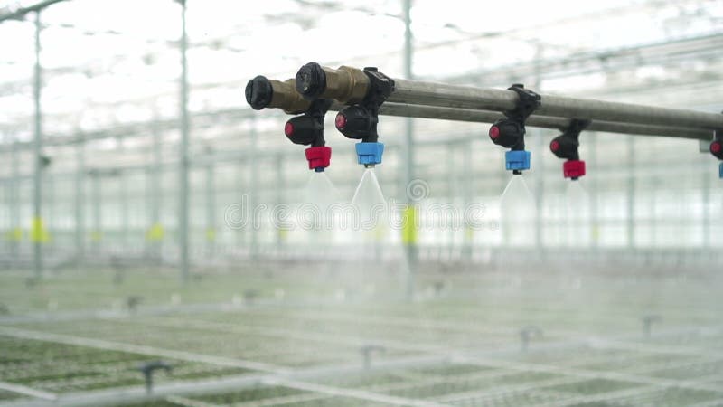 Вид: террористы взорвали полива зеленых растений на hydroponic оранжерее в помещении. акции видеоматериалы