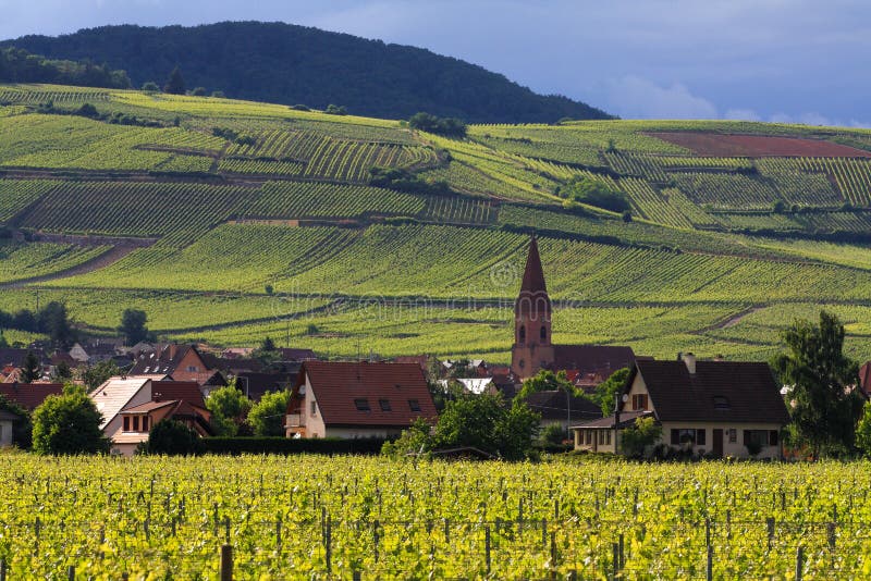 виноградник села alsace Франции малый стоковое фото виноградник села alsace Франции малый стоковое фото