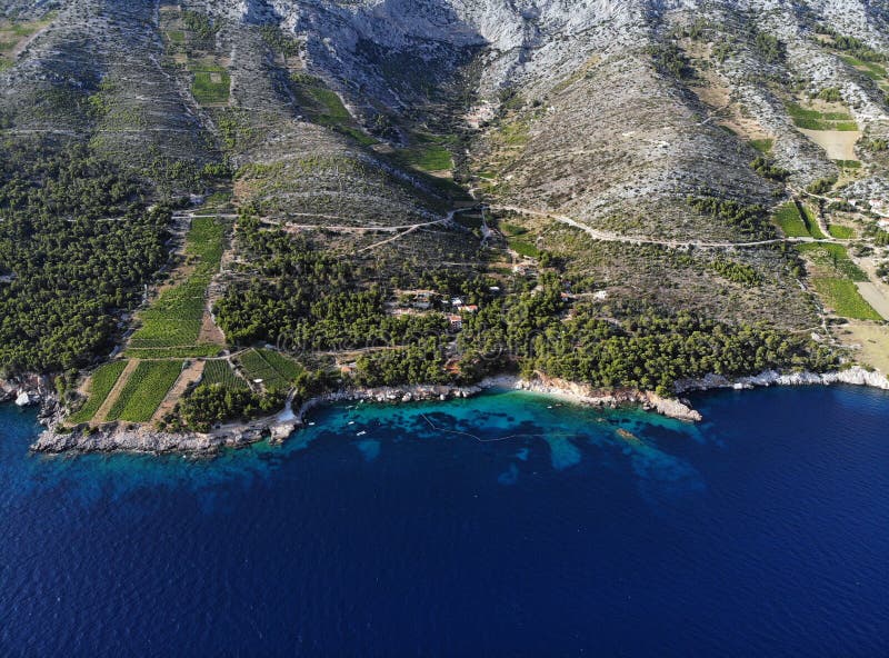 Виноградники на souths встают на сторону острова Hvar, Хорватии стоковая фотография Виноградники на souths встают на сторону острова Hvar, Хорватии стоковая фотография