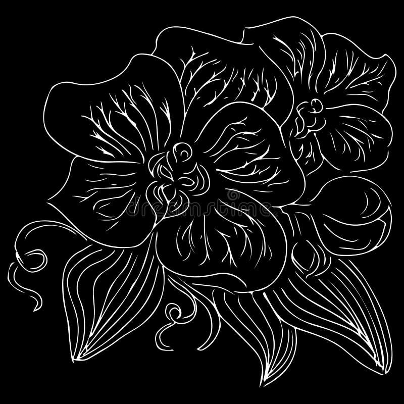 Винтажная иллюстрация doodle с белой орхидеей на черной предпосылке o График, чертеж эскиза Ботаническое руки вычерченное иллюстрация вектора Винтажная иллюстрация doodle с белой орхидеей на черной предпосылке o График, чертеж эскиза Ботаническое руки вычерченное иллюстрация вектора