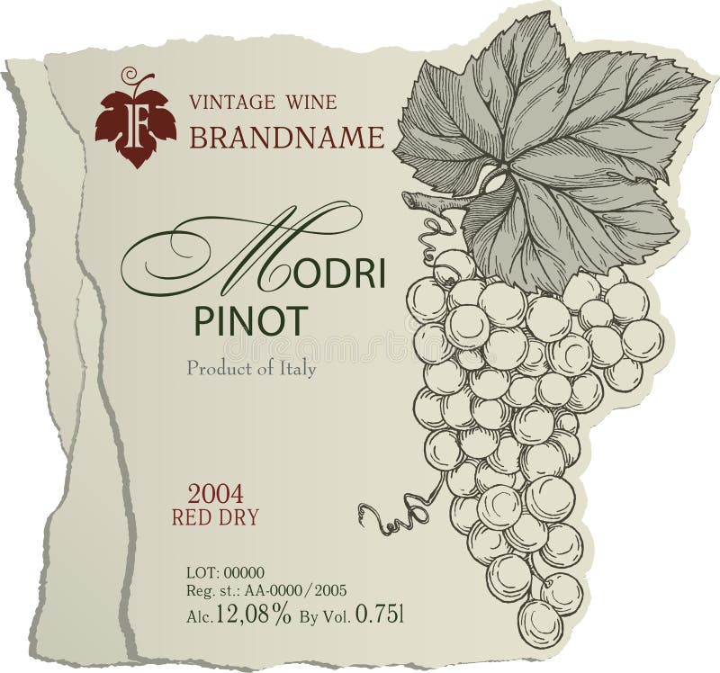 Vintage wine label template with illustration of engraved bunch of ripe grapes with leaves. Vintage wine label template with illustration of engraved bunch of ripe grapes with leaves