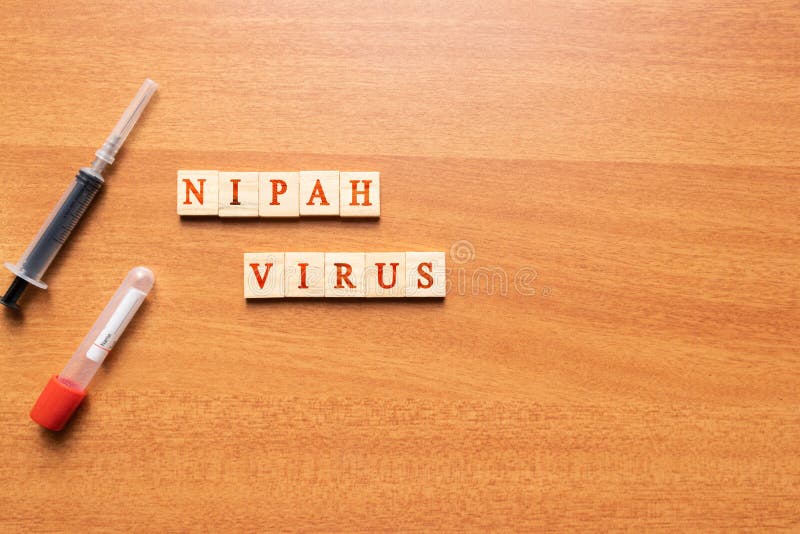 Вирус Nipah на деревянной текстурированной предпосылке со шприцем и трубкой собрания крови vacutainer стоковое фото rf Вирус Nipah на деревянной текстурированной предпосылке со шприцем и трубкой собрания крови vacutainer стоковое фото rf