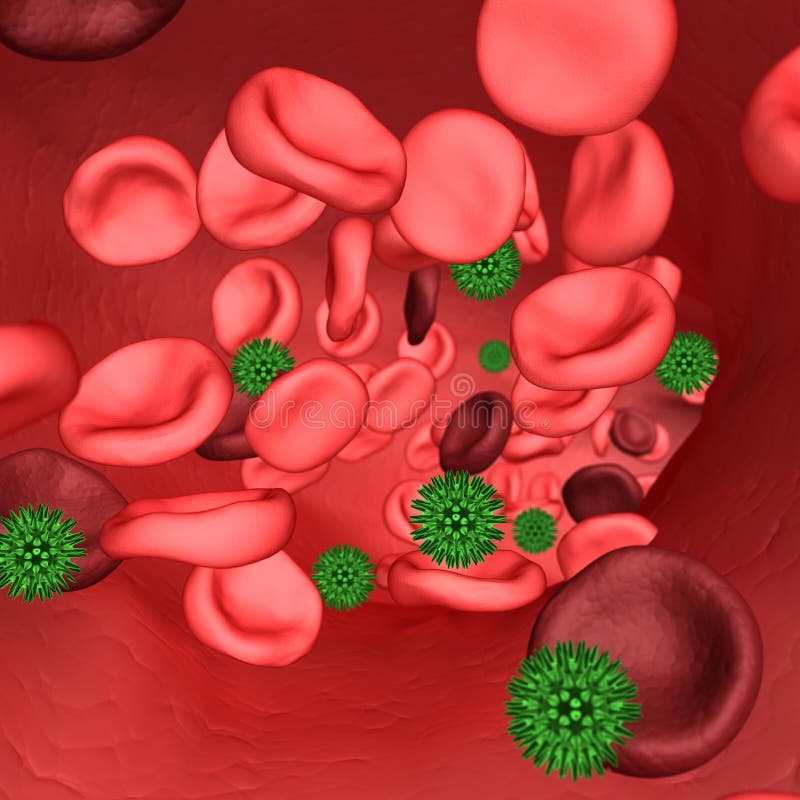 Virus attacking red blood-cells in artery. Virus attacking red blood-cells in artery