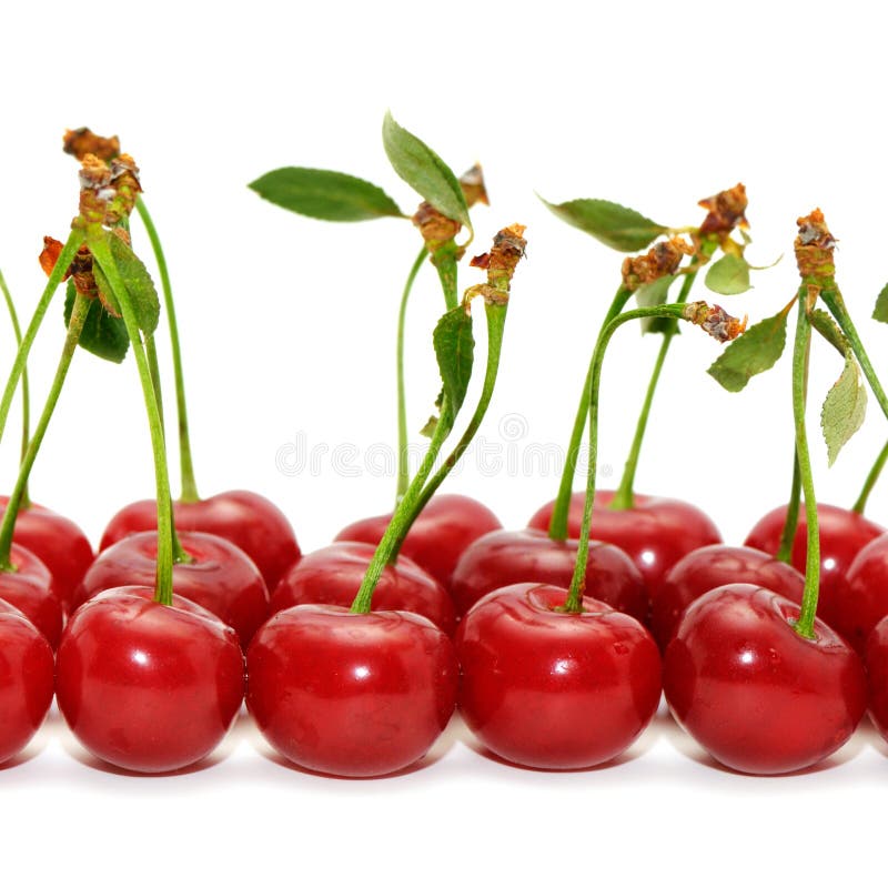 Cherries isolated on a white background. Cherries isolated on a white background