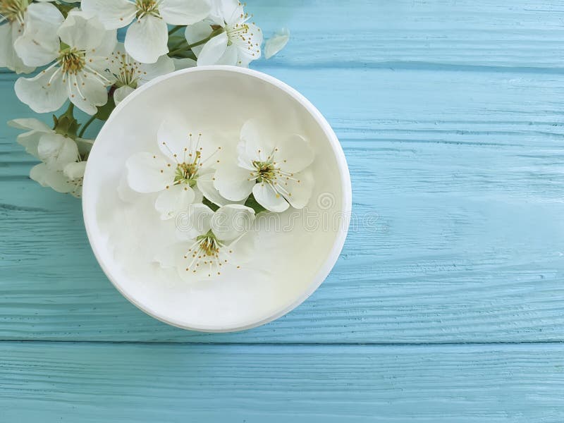 Вишня Cream косметической обработки весны продукта увлажнителя органической здоровая blossoming на голубом деревянном предохранен стоковые изображения Вишня Cream косметической обработки весны продукта увлажнителя органической здоровая blossoming на голубом деревянном предохранен стоковые изображения