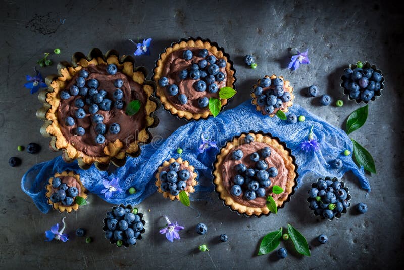 Вкусные и сладостные пироги сделанные коричневых сливк и ягод стоковые фото Вкусные и сладостные пироги сделанные коричневых сливк и ягод стоковые фото