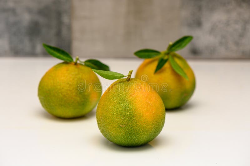 delicious fresh green-orange tangerines on a white background 1. delicious fresh green-orange tangerines on a white background 1