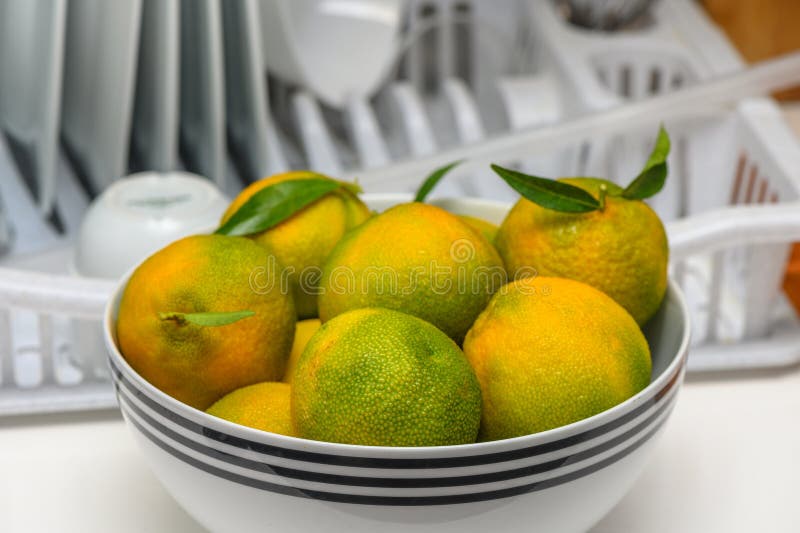delicious fresh green-orange tangerines in a light plate 2. delicious fresh green-orange tangerines in a light plate 2