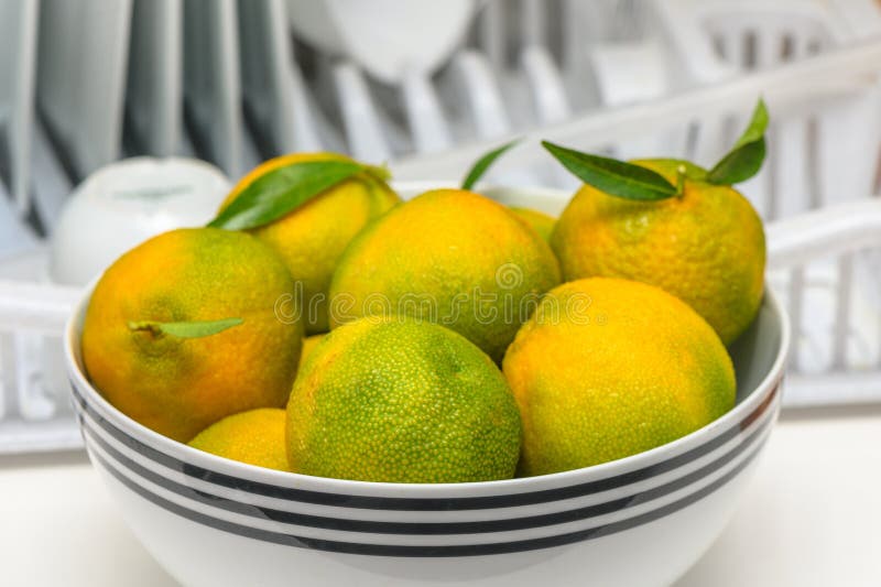 delicious fresh green-orange tangerines in a light plate 1. delicious fresh green-orange tangerines in a light plate 1