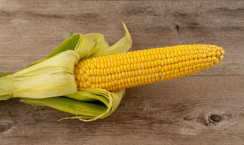 Corn cob on a wooden background. Corn is widely used in American cuisine. Zea mays is the second most marketable grain crop in the world. Corn protein contains a number of useful amino acids. Corn cob on a wooden background. Corn is widely used in American cuisine. Zea mays is the second most marketable grain crop in the world. Corn protein contains a number of useful amino acids.