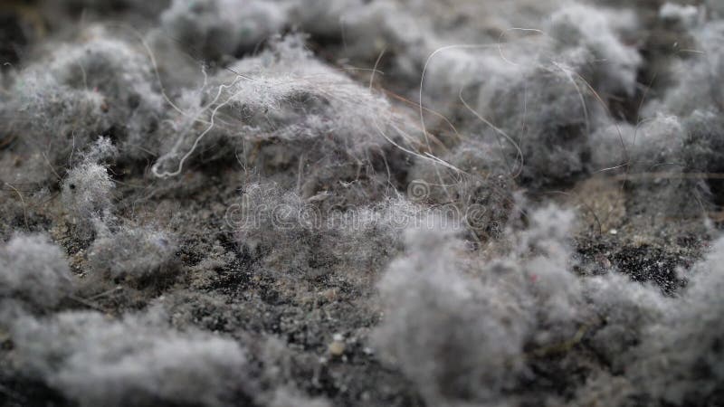Внутренняя грязь домашняя для просмотра: террористы взорвали клещей пыли стопок от пылесоса после уборки дома сток-видео