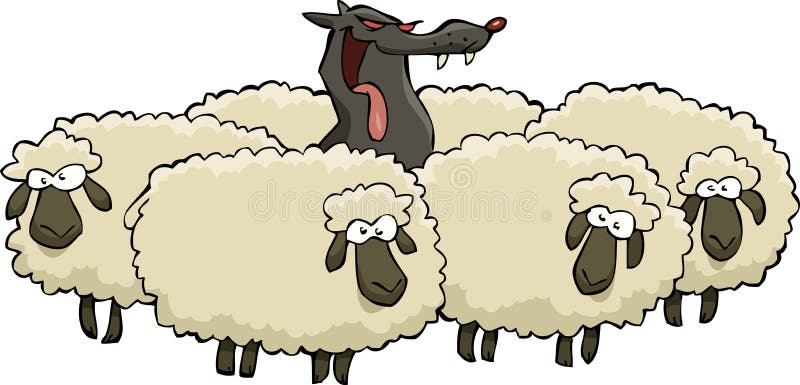 Овцы с плакатами
