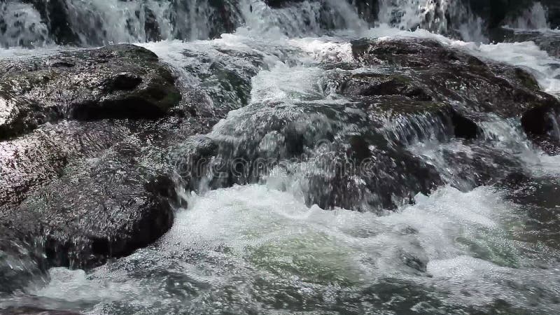 Водопад леса на национальном парке и утесе, съемке взгляда крупного плана сток-видео