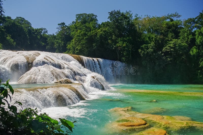 Водопады Cascadas de Agua Azul Agua Azul yucatan стоковые фото Водопады Cascadas de Agua Azul Agua Azul yucatan стоковые фото