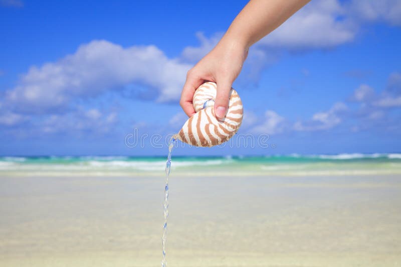 вода раковины nautilus руки девушок стоковая фотография вода раковины nautilus руки девушок стоковая фотография