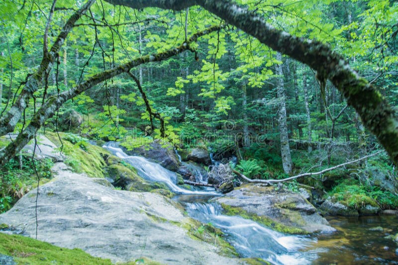 , водопад, chorsin, Луара, Франция стоковая фотография rf , водопад, chorsin, Луара, Франция стоковая фотография rf