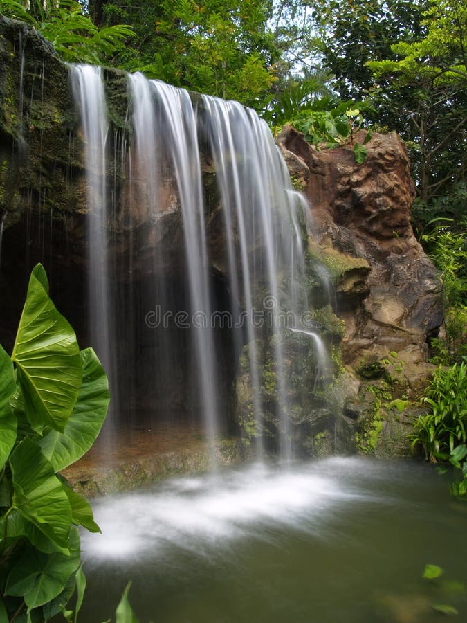 водопад ботанического сада