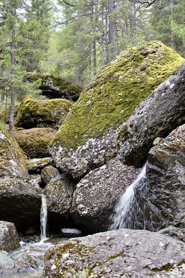 Водопад горной реки протекает через русло реки через огромные валуны с moss стоковое изображение rf