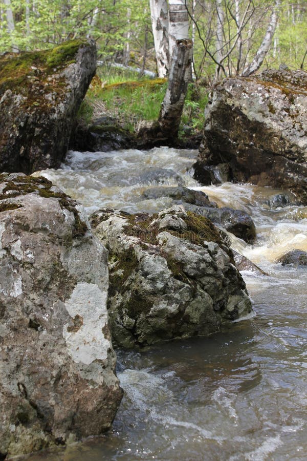 Водопад горной реки протекает через русло реки через огромные валуны с moss стоковые изображения