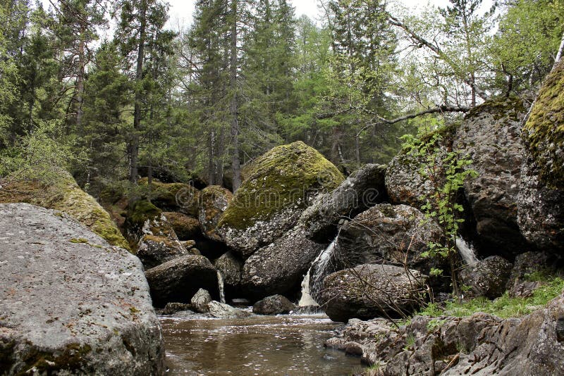 Водопад горной реки протекает через русло реки через огромные валуны с moss стоковое фото