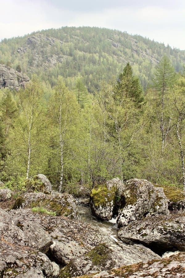 Водопад горной реки протекает через русло реки через огромные валуны с moss стоковые изображения rf
