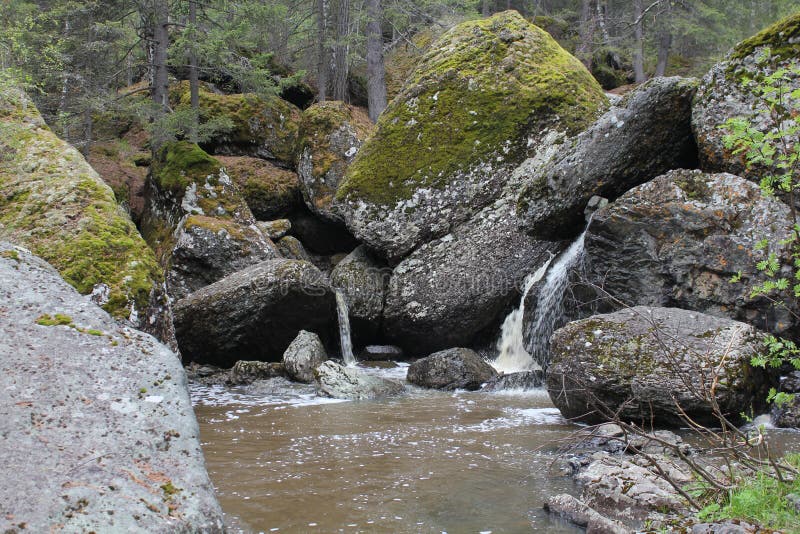 Водопад горной реки протекает через русло реки через огромные валуны с moss стоковое изображение