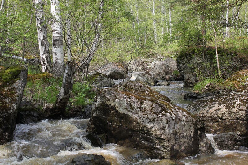 Водопад горной реки протекает через русло реки через огромные валуны с moss стоковое изображение rf