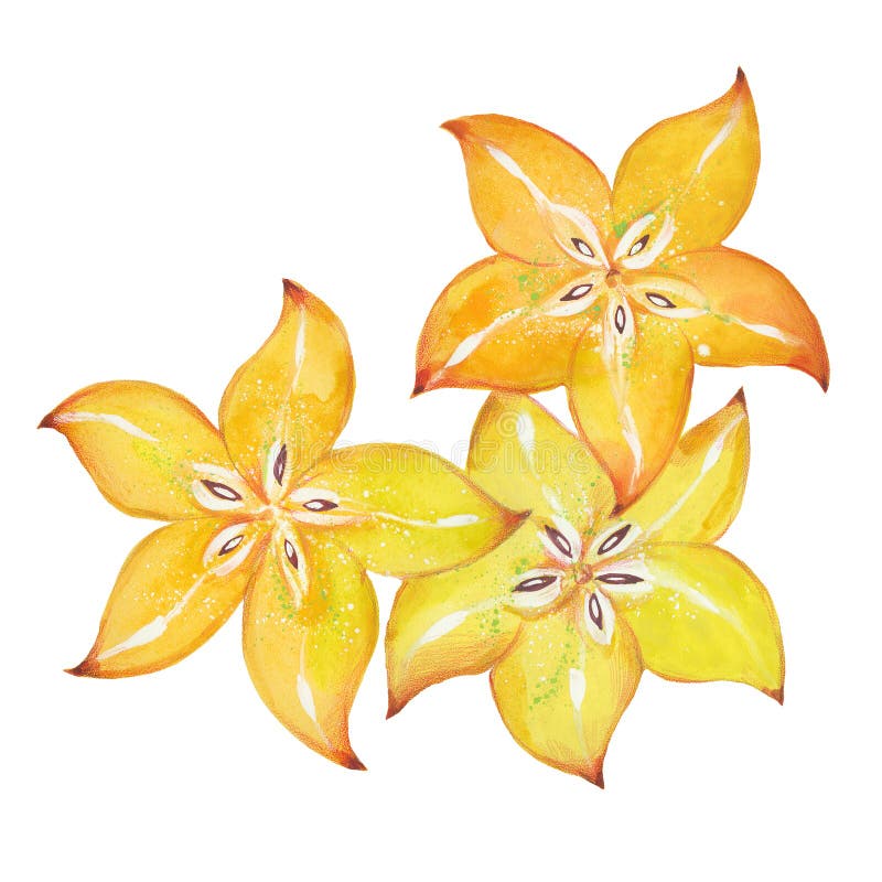 Водородной карамбола стоковое фото. изображение насчитывающей ...