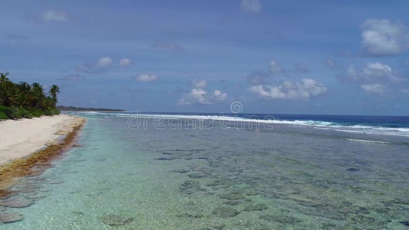 воздушная сцена густых пальм на песчаном пляже у моря в солнечный день сток-видео