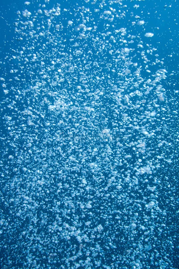 Air bubbles rising from a scuba diver deep underwater. Air bubbles rising from a scuba diver deep underwater.