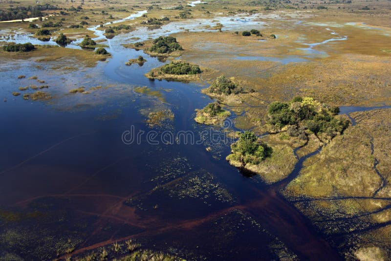 воздушный взгляд okavango перепада Ботсваны стоковое фото rf воздушный взгляд okavango перепада Ботсваны стоковое фото rf