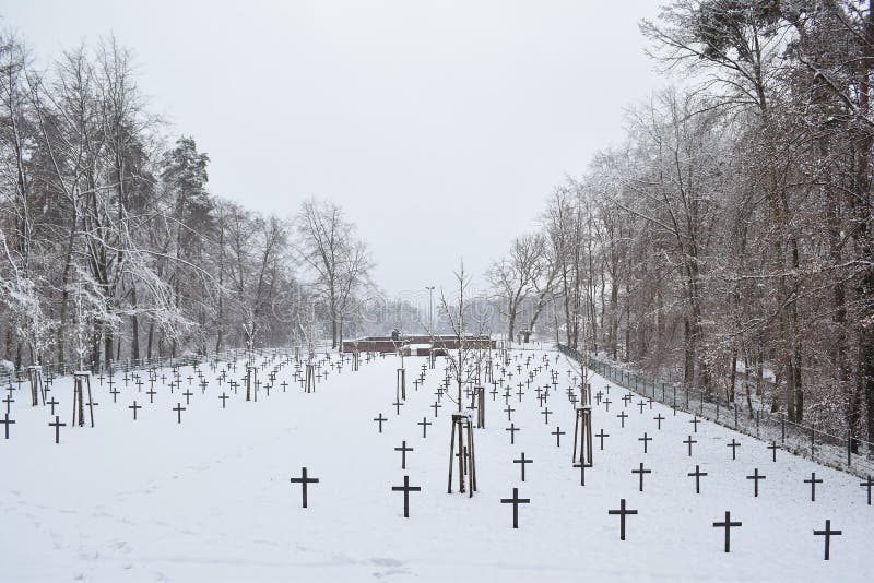 Воинское кладбище, кладбище войны, зима кладбища войны, воинская зима кладбища, снег зимы солдат кладбища стоковые изображения rf Воинское кладбище, кладбище войны, зима кладбища войны, воинская зима кладбища, снег зимы солдат кладбища стоковые изображения rf