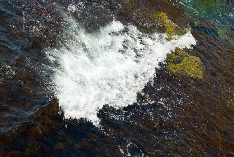 волна водорослей большая коричневая стоковое изображение волна водорослей большая коричневая стоковое изображение