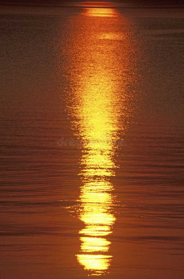 Восход солнца отраженный в воде, Иллинойсе