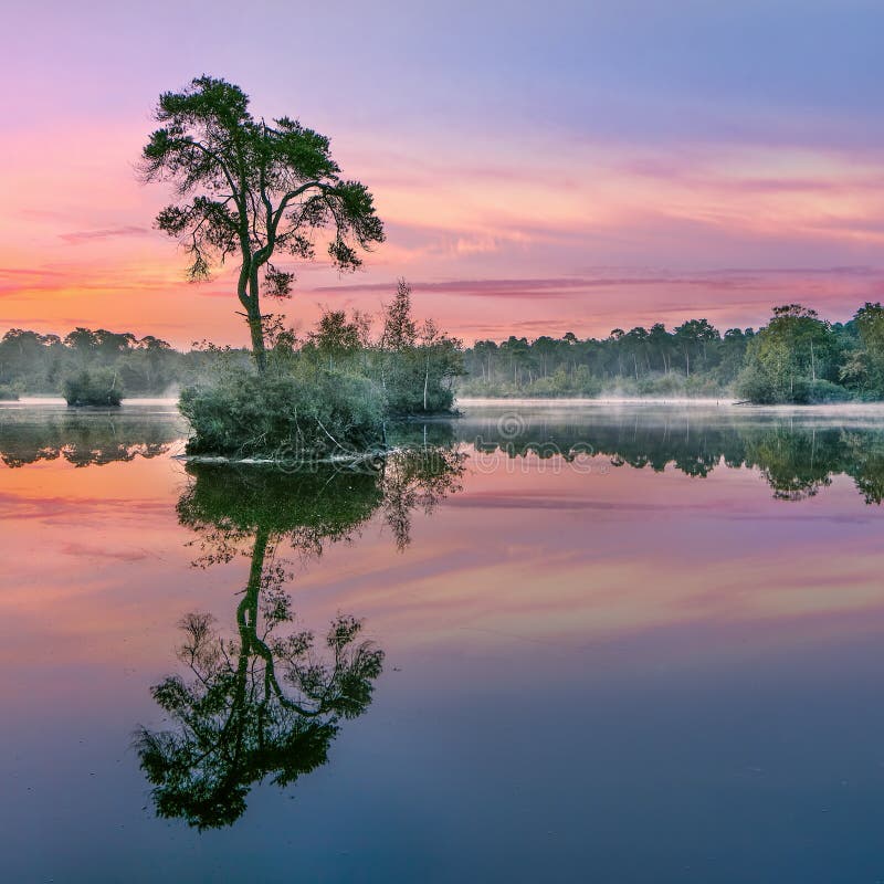 Восход солнца отражается в озере в лесу на юге Нидерландов