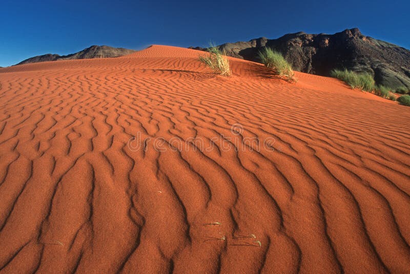 Tok Tokkie trails camp 2 - Namib Rand Nature Reserve - Namibia -Africa. Tok Tokkie trails camp 2 - Namib Rand Nature Reserve - Namibia -Africa