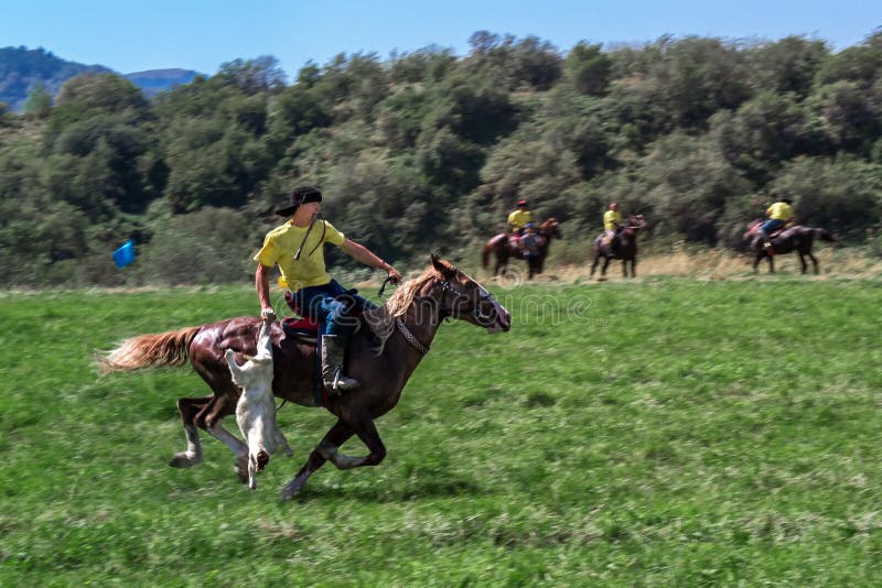 Всадник скакать на лошади с тушей козы Катание игры казаха национальное ...