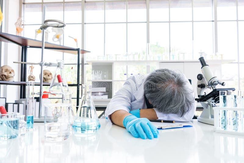 Сочетание функциональности и эстетики