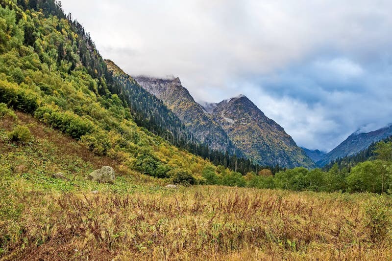 высокогорное лето лужка Гора Altai синь заволакивает белизна неба стоковые изображения высокогорное лето лужка Гора Altai синь заволакивает белизна неба стоковые изображения
